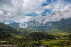 Đầu tư y tý có lãi không, đất y tý giá bao nhiêu