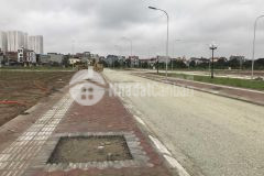 Bán đất dịch vụ giãn dân tại lê xá mai lâm cạnh khu đấu giá đông anh hà nội