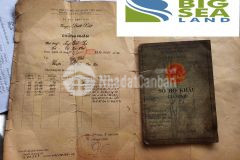 Đất y tý đầu tư sinh lời cao đã có sổ