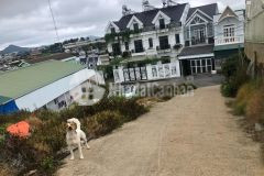 D997 cần bán gấp lô đất 2 mặt hẻm ô tô bạch đằng p7 thành phố đà lạt.