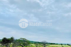 Bán lô đất 7810m2, sổ trồng cây lâu năm, cách biển 1km, view nhìn ra biển hòa phú