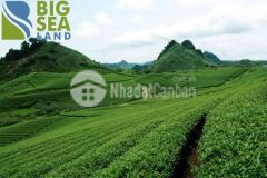 Bán mảnh đất mộc châu sơn la giá rẻ đầu tư sinh lời cao11