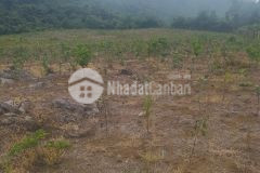 Đất rừng siêu đẹp lạc thủy, hòa bình 9ha, giá 8,5 tỷ