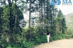 Bán đất nền kinh doanh du lịch tại sa pa diện tích 872m