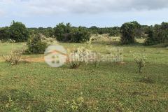 500 triệu sở hữu ngay lô đất 4174m2 thị trấn chợ lầu bắc bình