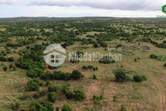 Cần bán lô đất ở bình thuận xã hồng thái gần đường liên huyện