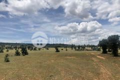 Lô đất 6700m2 đất trồng cây thị trấn lương sơn, cách quốc lộ chỉ 500m