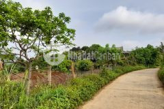 Bán mảnh đất siêu đẹp đường ô tố vào tận đất tại mộc châu sơn la