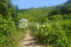 Đất rừng siêu đẹp lương sơn, hòa bình 3,6ha, giá 3 tỷ