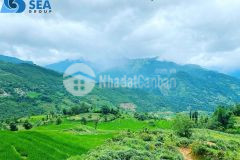 Bán 2000m2 đất y tý khu vực săn mây, du lịch kinh doanh 4 mùa