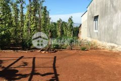 Bán đất mặt tiền nguyễn thị định phường thành nhất