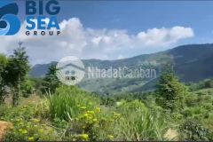 Bán đất trung tâm ngải trồ y tý thích hợp kinh doanh dịch vụ, nhà nghỉ