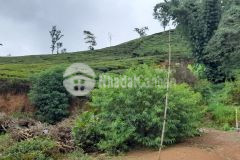 Bán nhanh mảnh đất s 1515m2 có 400m2 thổ cư tại mộc châu,giá cho nhà đầu tư