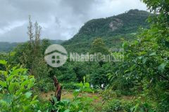 3800m vị trí đắc địa tại y tý giá cho nhà đầu tư