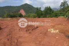 Cần tiền bán gấp 5127m mộc châu giá cho nhà đầu tư