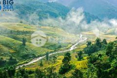 Đất nền nghỉ dưỡng y tý giá chỉ từ 500 triệu