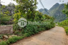 Bán đất nền nghỉ dưỡng đông sang, mộc châu, sơn la diện tích 1500m2.