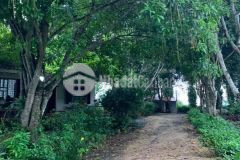 Bán đất trang trại vĩnh tiến, kim bôi, hòa bình dt 65000m2 giá 55 tỷ. lh 0912442669