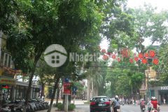 Bán gấp mặt phố trung tâm thủ đô 222m2 dòng tiền 7000th giá 97 tỷ. lh 𝟎𝟑𝟒𝟓𝟖𝟐𝟐𝟐𝟎𝟎