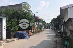 Bán đất mặt đường đồng niên, tp hải dương, 70 75m2, mt 4.5m, giá đầu tư, vị trí đẹp