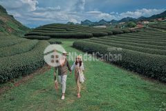 Lô đất đẹp tại mộc châu, phù hợp đầu tư lâu dài