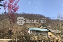 Bán đất trung tâm hành chính huyện mới ở y tý sapa 2 giá đầu tư sinh lời cao