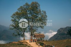 Chủ nhà cần tiền, giá nào cũng bán. mảnh đất phù hợp kinh doanh du lịch tại sapa 2