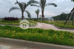 Đất bình dương, shr, giá 1 tỷ quay đầu.