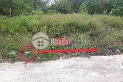 Bán đất kiệt quốc lộ 9 tp đông hà giá chỉ 6xx