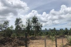 Đất nền bến tràm hot ck cao cho khách hàng sĩ và lẻ