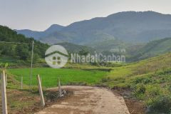 Bán 5100m thực tế 10.000m tặng hàng trăm gốc cam sai trĩu quả giá 600tr