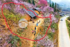 Bán đất y tý thôn phìn hồ view hồ 22ha thế đất đẹp ngắm hoa đào.0822356688