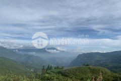 Bán đất tại ngải trồ trung tâm y tý sapa 2 full mọi mục đích kinh doanh