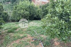 Đất trang trại, farmstay tại mộc châu, sơn la, tài chính 5xx triệu ha