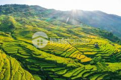 Lô cuối cùng tại trung tâm, lại còn 2 mặt tiền tại y tý sapa 2