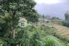 Cần bán mảnh đất tiềm năng 1200m sín chải, y tý giá cực sốc