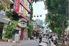 Nhà phân lô, phù hợp xây chung cư phố thái hà, đống đa, 0911554873.