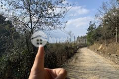 Bán mảnh đất đón đầu y tý lợi nhuận cực cao lãi suất khủng