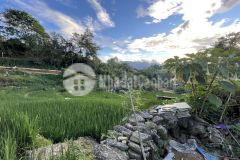 Đất trung tâm y tý sapa2 biên độ lợi nhuận cao phù hợp để đầu cơ