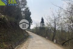 Đầu tư sinh lời khủng với lô đất vàng tại y týsapa2 đừng chần chừ trao cơ hội cho người khác.