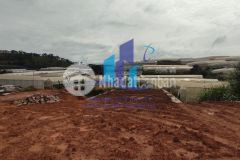 Bán đất đường đa phú phường 7 tp. đà lạt. diện tích 646.8mv 13.149.9