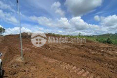 Chính chủ cần bán đất bảo lâm