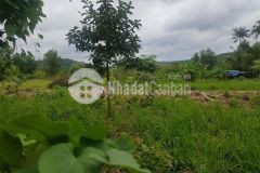 Đất nền giá rẻ 200trnền tại phú quốc