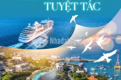 Tại sao nói ancruising là châu báu của những nhà chinh phục bđs biển