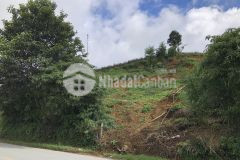 Cần bán gấp lô đất mặt đường đbp 9000m2 tại sapa