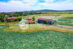 Nghỉ dưỡng ven đô,sinh lời vĩnh viễn vườn vua resort villas có gì hot