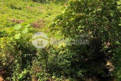 Bán 7751m đất bám suối 2 bên tại kim sơn, kim bôi