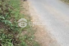 Cần tiền bán mảnh đất 600m2 tại phìn hồ, mặt đường tl158, giá đầu tư