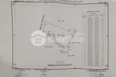 Đất trung tâm sapa2 lào cai diện tích lớn giá mềm cho nhà đầu tư