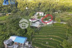 Bán mảnh đất trung tâm y tý, vị trí đắc địa nhất trung tâm view đẹp giá rẻ